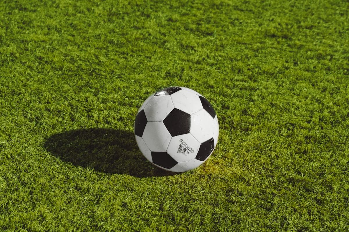 Bola sepak putih hitam tergeletak di lapangan hijau